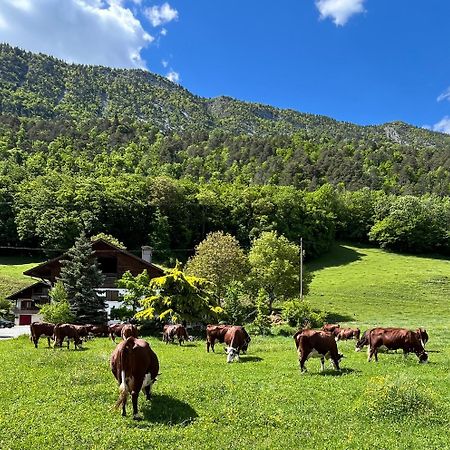 Appartement Lapreski, Spacieux, Proche Lac D'Annecy, Randonnees Montagne Thônes Buitenkant foto