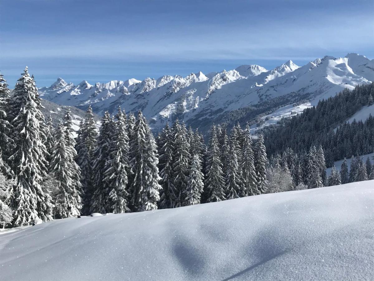 Appartement Lapreski, Spacieux, Proche Lac D'Annecy, Randonnees Montagne Thônes Buitenkant foto