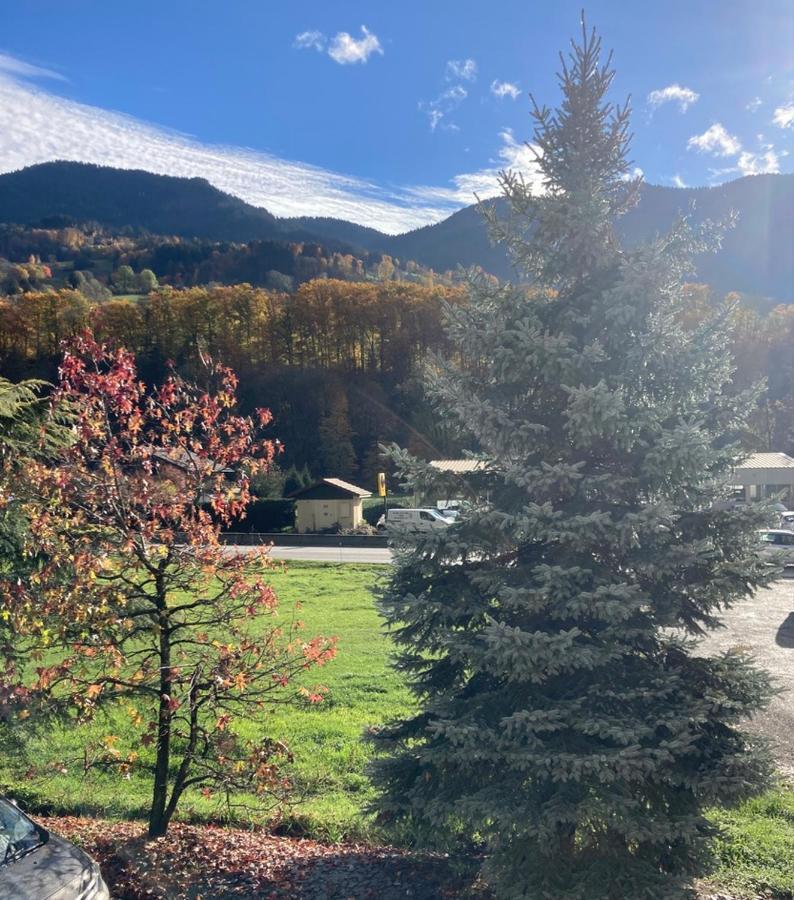 Appartement Lapreski, Spacieux, Proche Lac D'Annecy, Randonnees Montagne Thônes Buitenkant foto