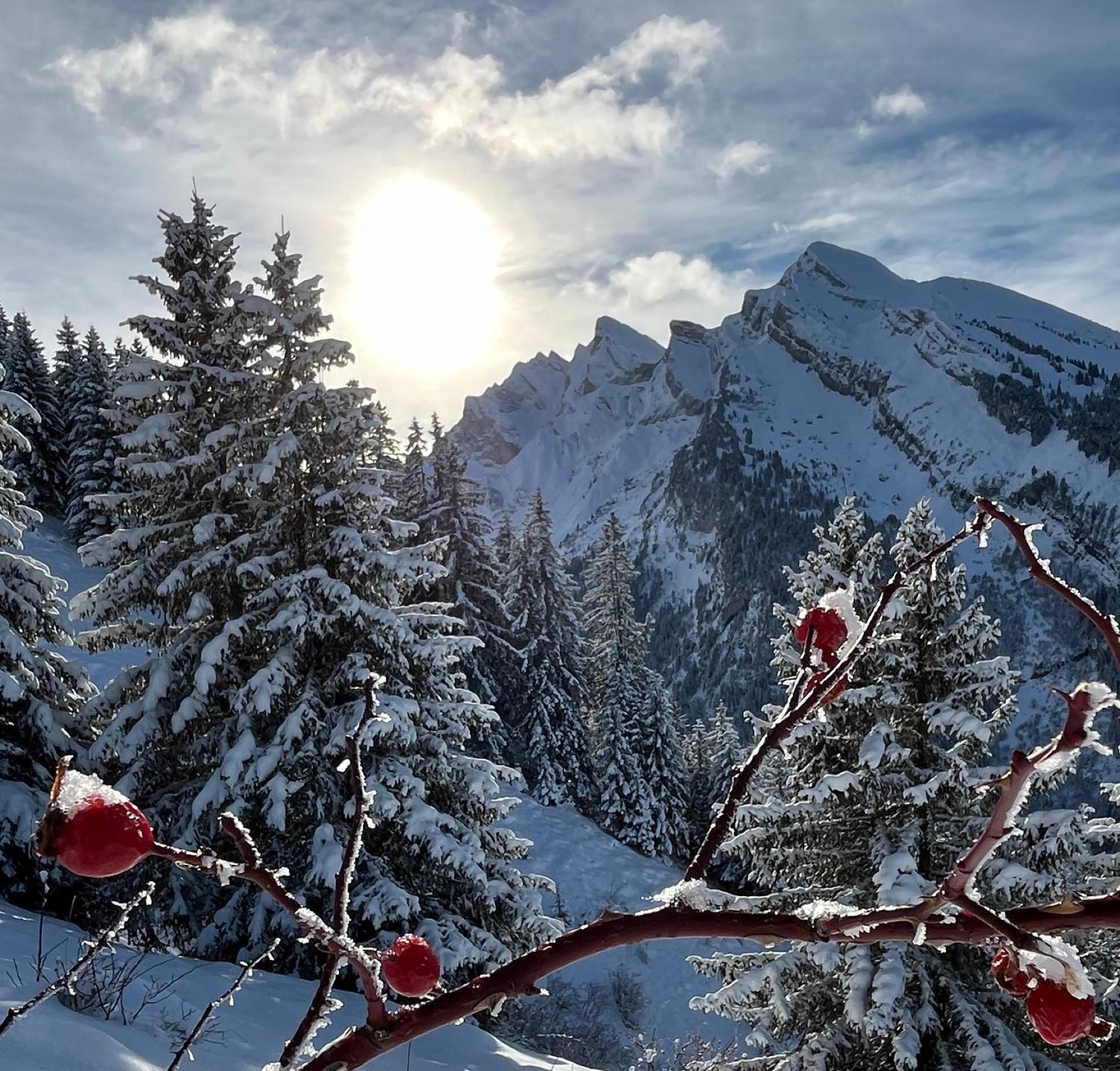 Appartement Lapreski, Spacieux, Proche Lac D'Annecy, Randonnees Montagne Thônes Buitenkant foto