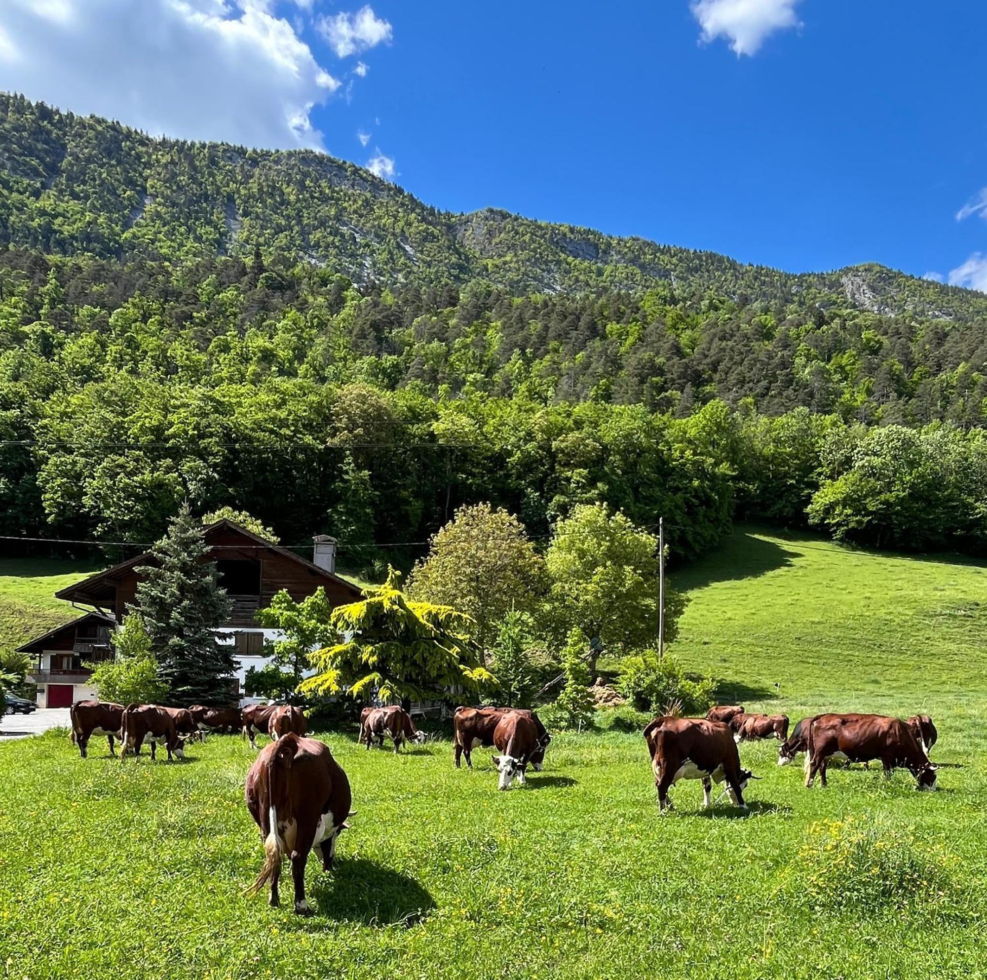Appartement Lapreski, Spacieux, Proche Lac D'Annecy, Randonnees Montagne Thônes Buitenkant foto